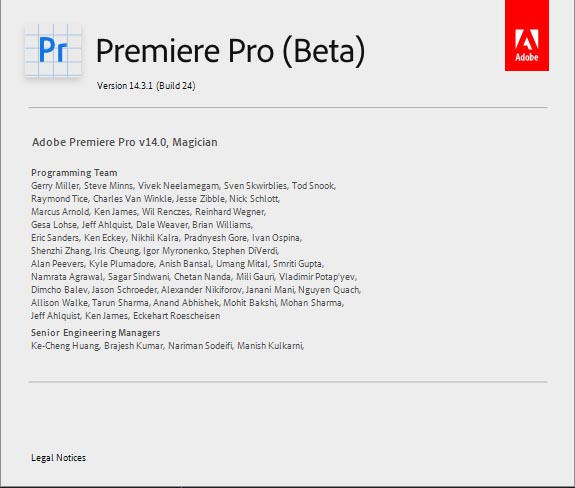 Adobe Premiere Pro 2020 v14.3.1.24 Beta
