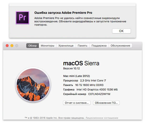 Adobe Premiere Pro      