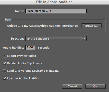 Adobe Audition CS5.5